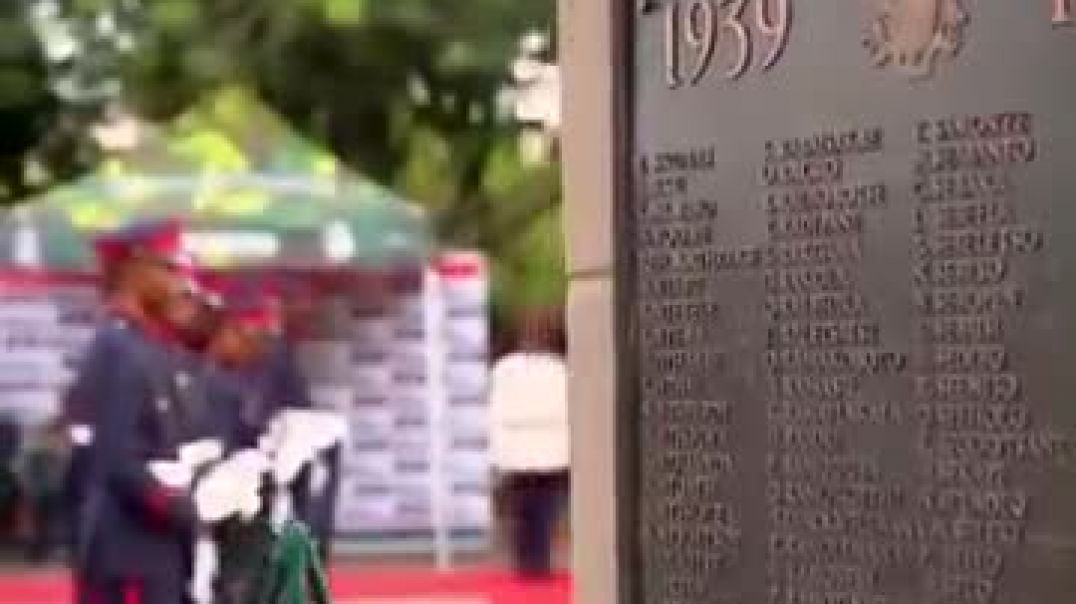 Honoring Our Fallen Heroes