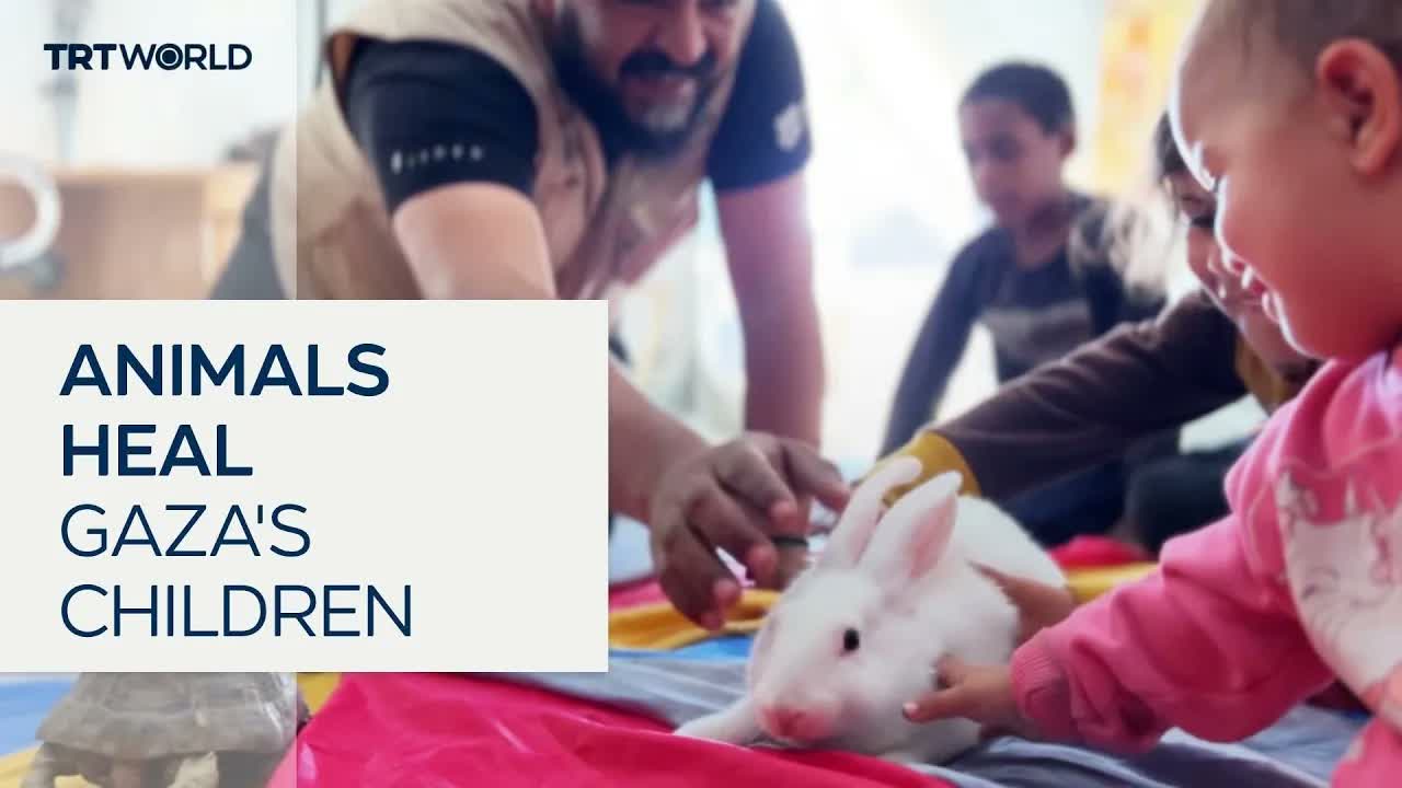 Animals help Gaza's children cope with war trauma