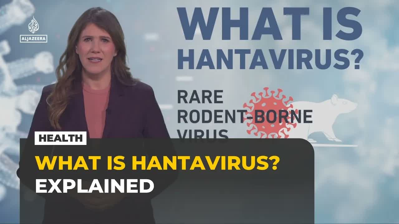 What is hantavirus and how does it spread? Al Jazeera explains