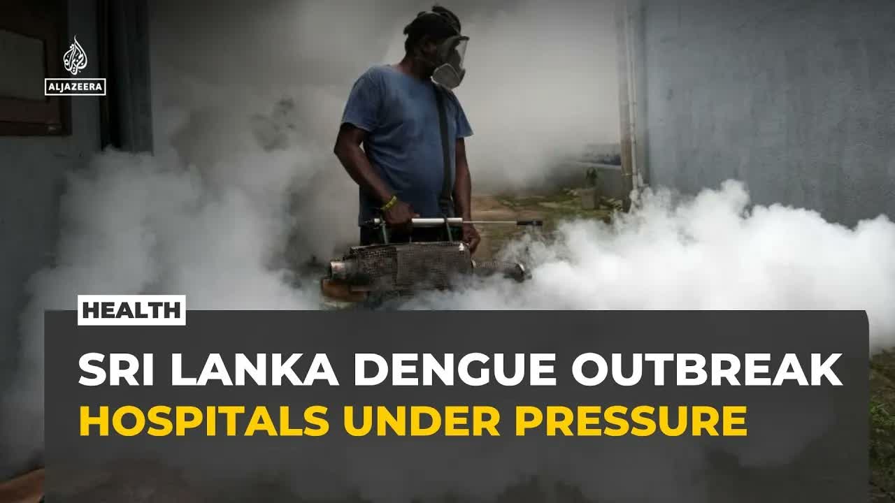 Sri Lanka's dengue outbreak strains hospitals as cases double from last year