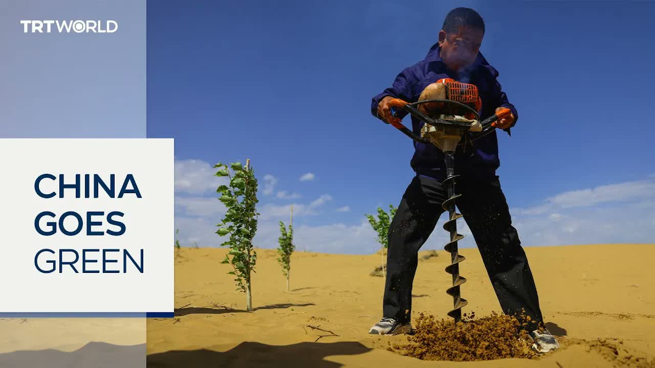 China fights desertification with massive greening campaign