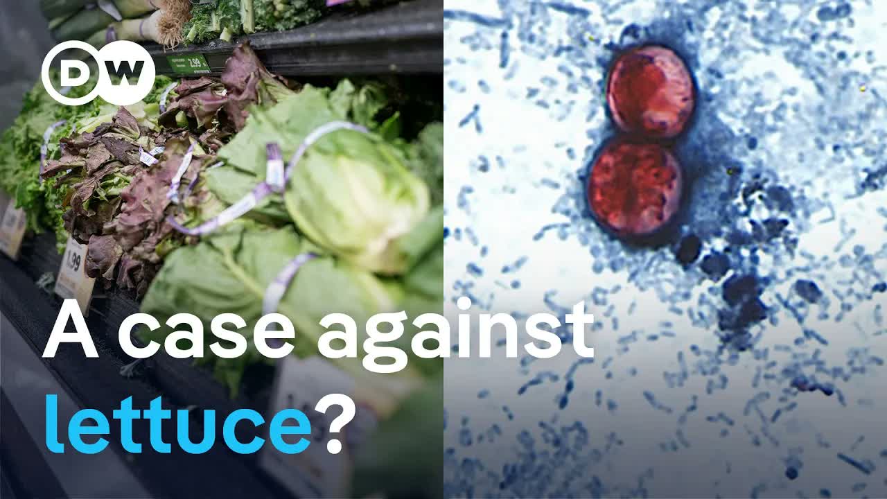 Cyclospora outbreak spreads to 47 US States | DW News