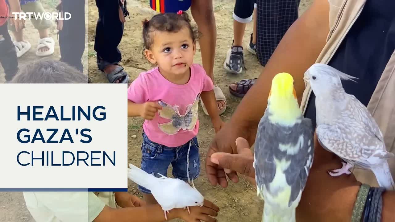 Project helping Gaza children recover from war trauma